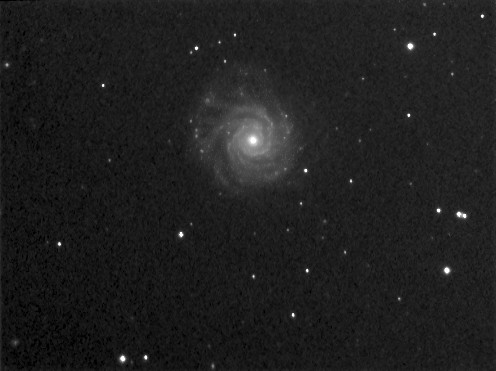 3938-40gut.jpg