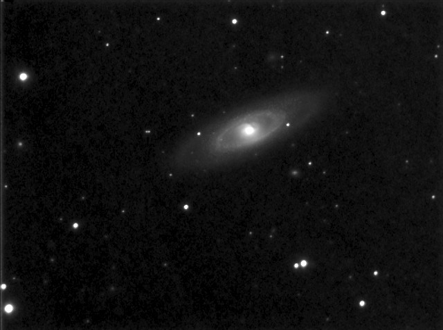 4274-40biggut.jpg