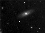 4274-40biggut.jpg