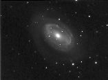 4275-60biggut.jpg